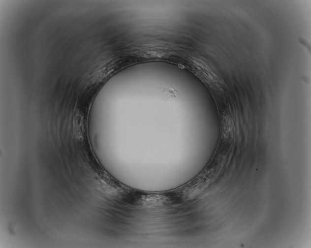 X0000096670414200802191334