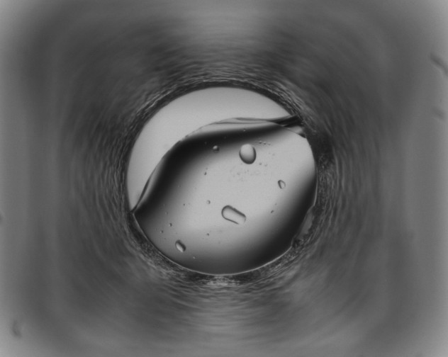 X0000096670415200802191334