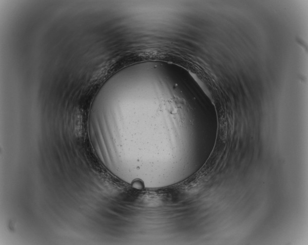 X0000096670416200802191334