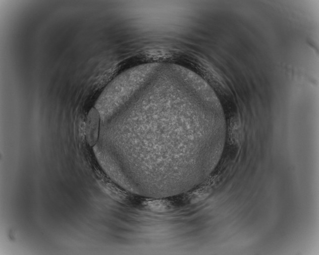 X0000096670417200802191334