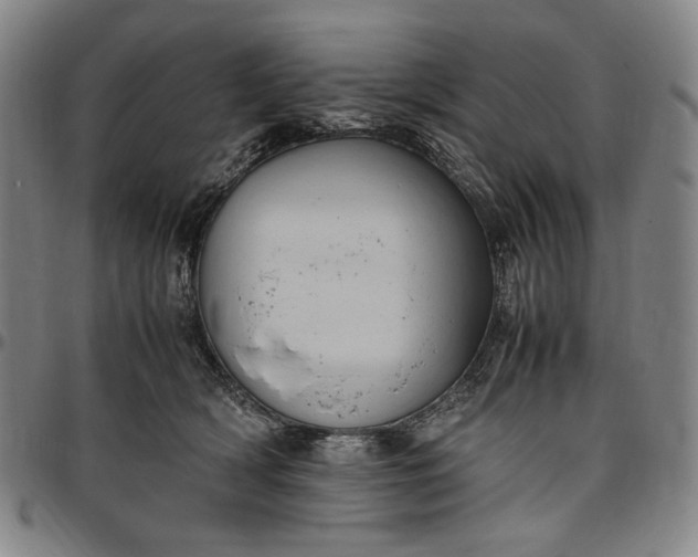 X0000096670418200802191334