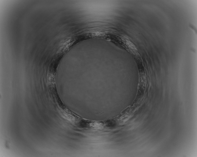 X0000096670419200802191334