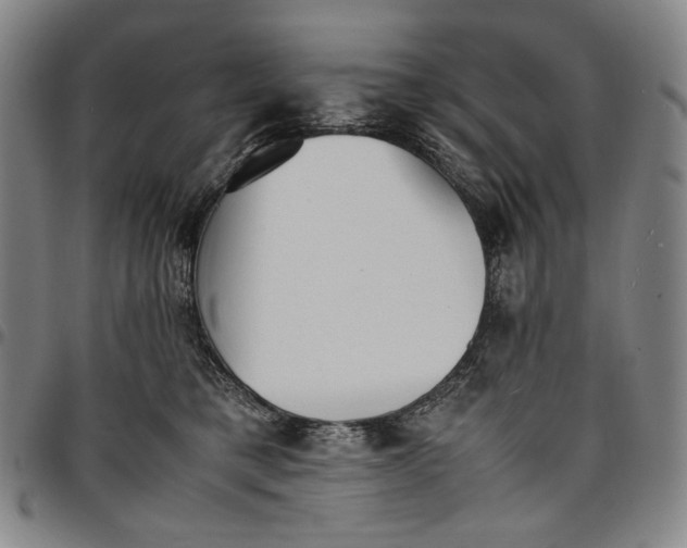 X0000096670421200802191334