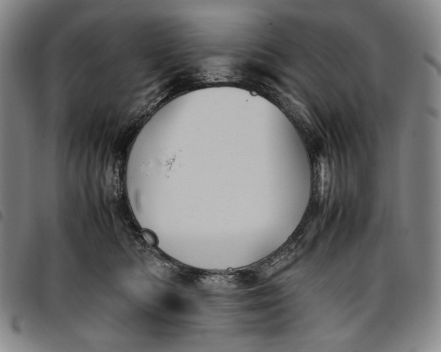 X0000096670422200802191334