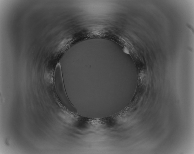 X0000096670423200802191334