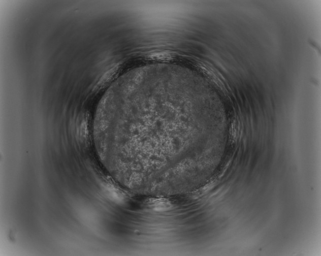 X0000096670424200802191334