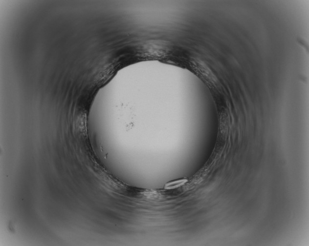 X0000096670425200802191334