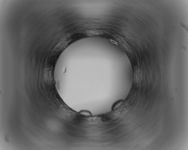 X0000096670426200802191334