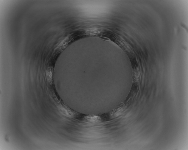 X0000096670427200802191334