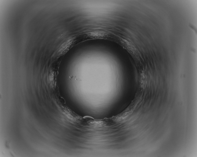 X0000096670428200802191334