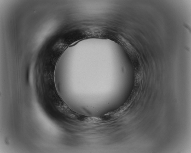 X0000096670429200802191334