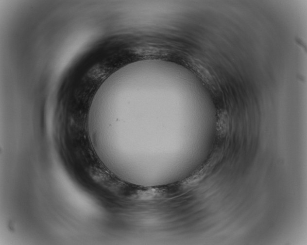 X0000096670430200802191334