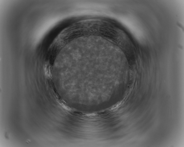 X0000096670431200802191333