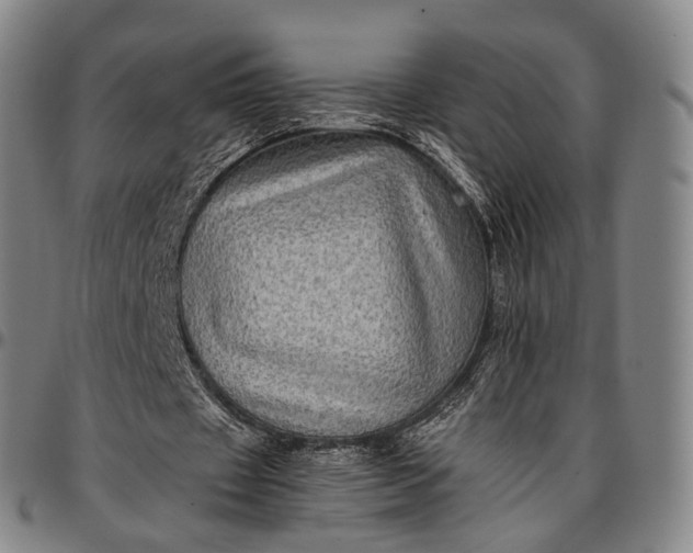 X0000096670433200802191333