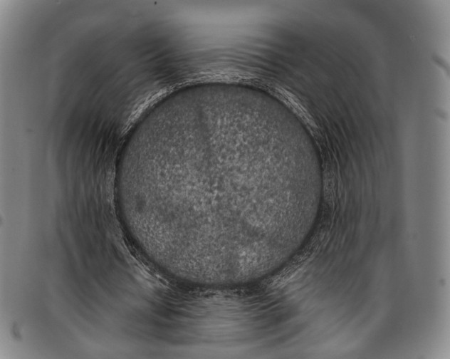 X0000096670434200802191333