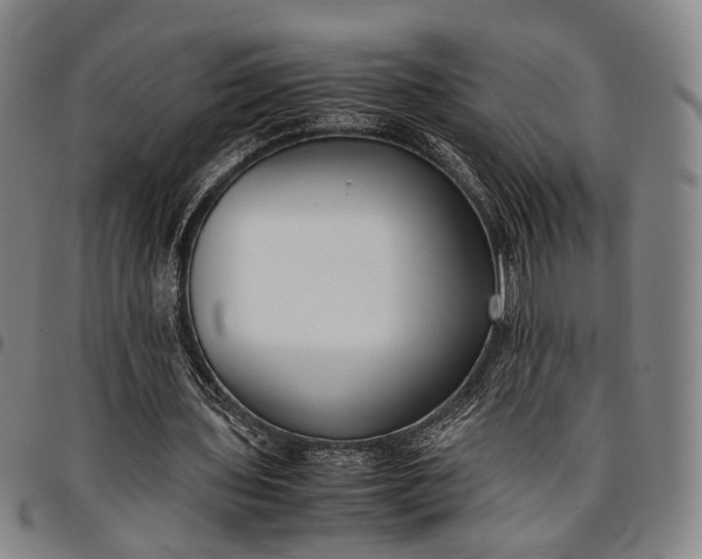 X0000096670435200802191333