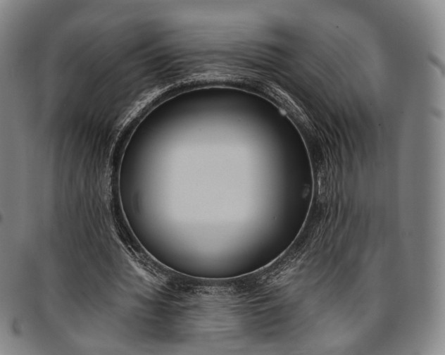 X0000096670436200802191333