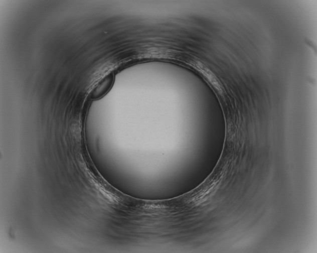 X0000096670437200802191333