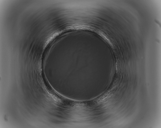 X0000096670438200802191333