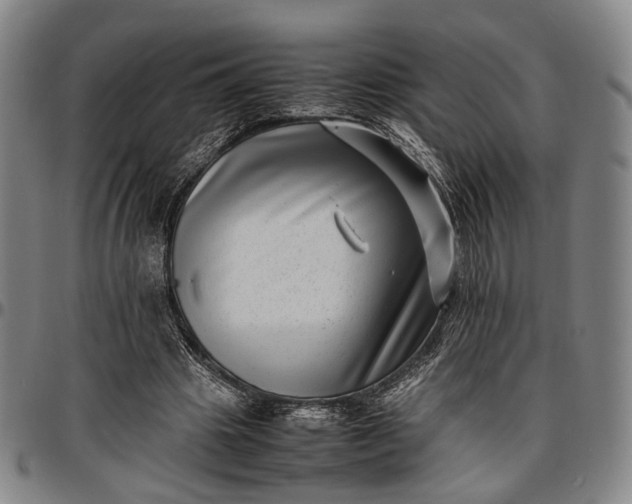 X0000096670441200802191333