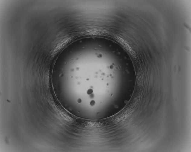 X0000096670442200802191333