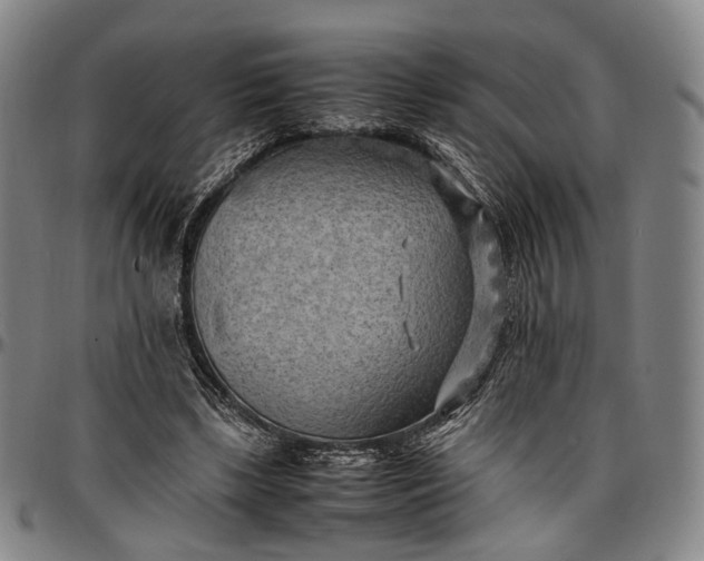 X0000096670443200802191333