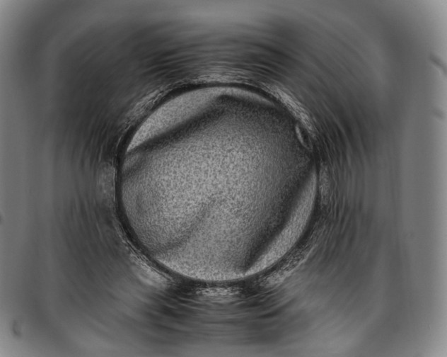 X0000096670445200802191333
