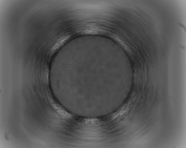 X0000096670446200802191333