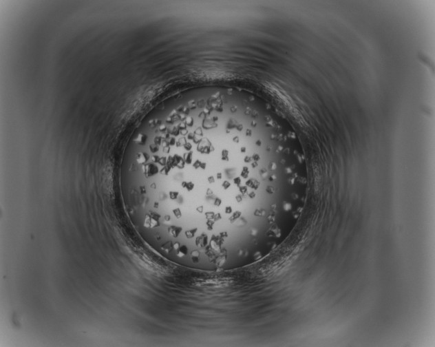 X0000096670447200802191333