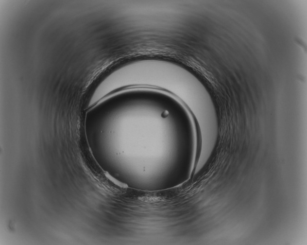 X0000096670448200802191333
