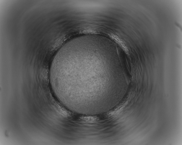 X0000096670449200802191333