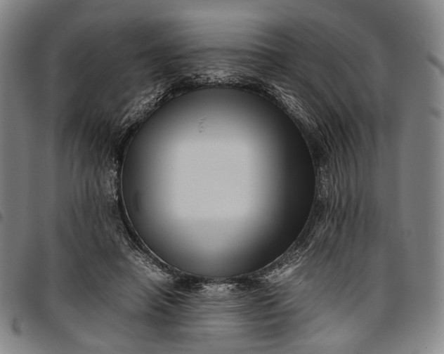 X0000096670450200802191333