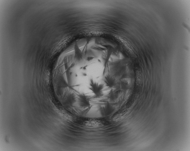 X0000096670451200802191333
