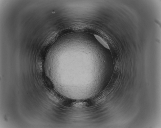 X0000096670452200802191333