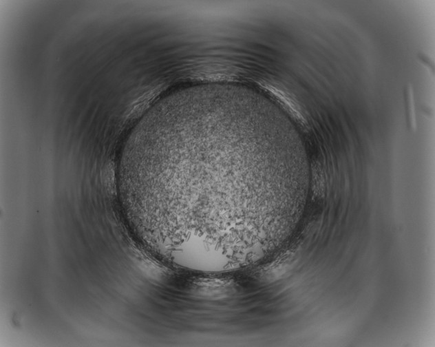 X0000096670453200802191333