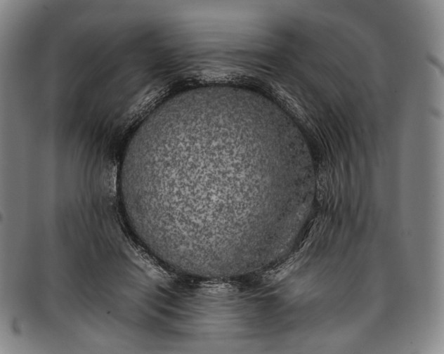 X0000096670454200802191333