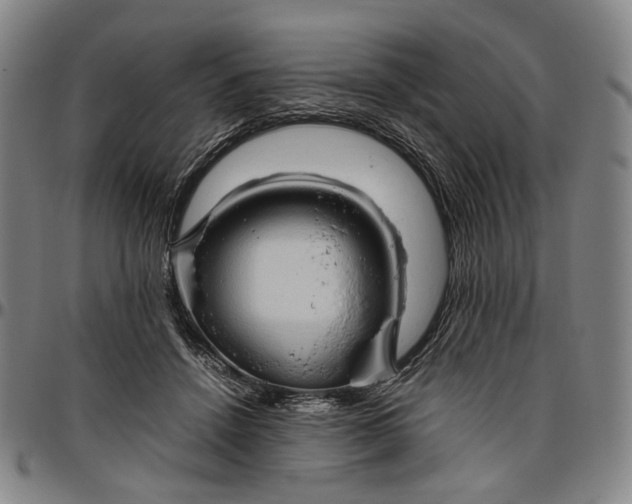 X0000096670456200802191333