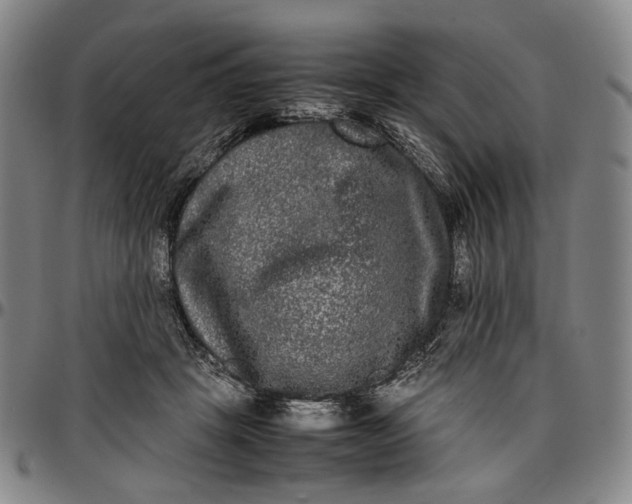X0000096670457200802191333