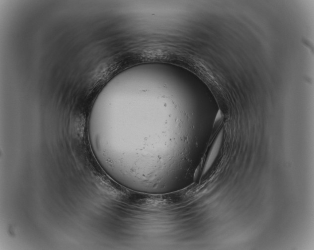 X0000096670458200802191333