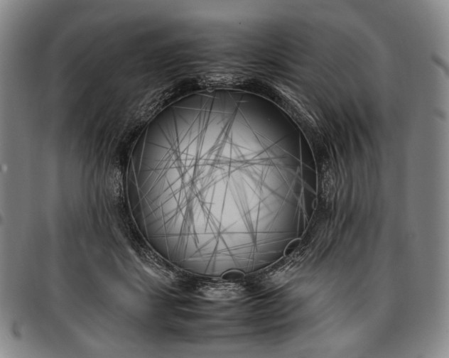 X0000096670459200802191333