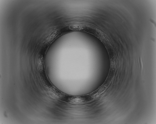 X0000096670460200802191333