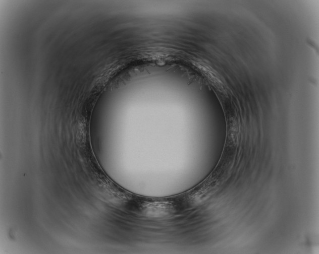 X0000096670461200802191333