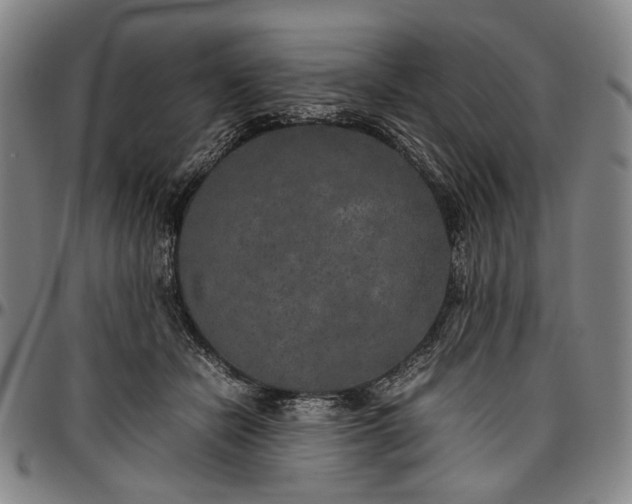 X0000096670462200802191333