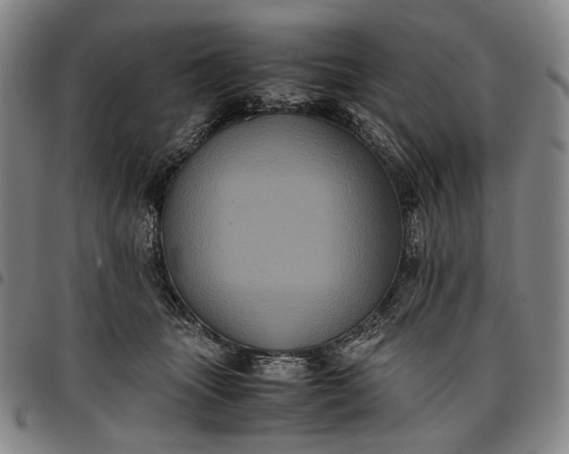 X0000096670463200802191333