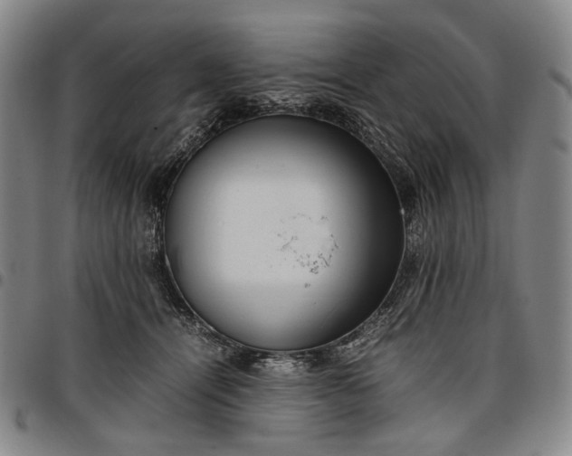 X0000096670464200802191333
