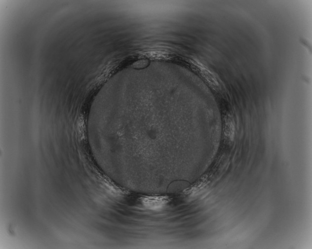 X0000096670465200802191333