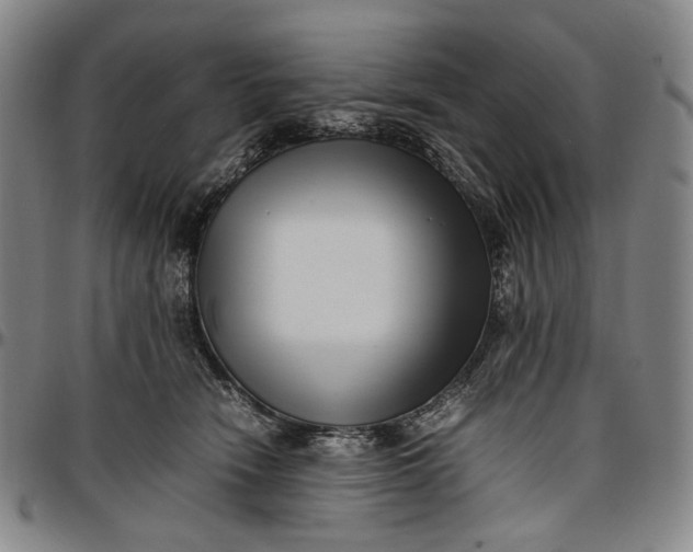 X0000096670466200802191333