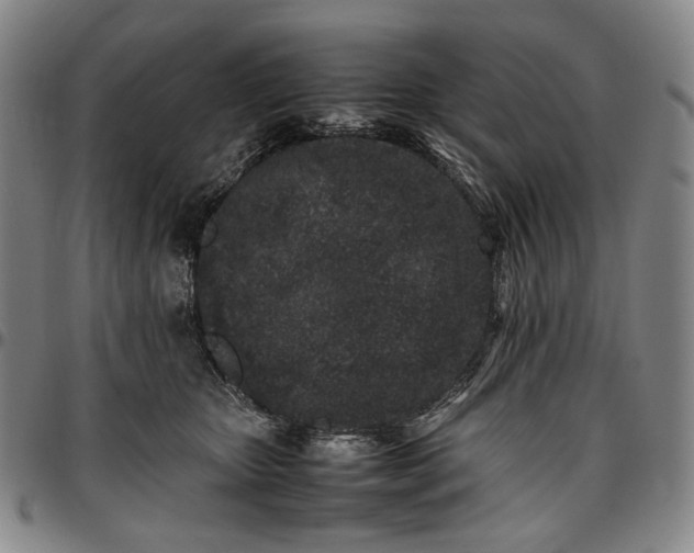 X0000096670467200802191333