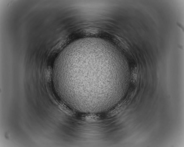 X0000096670468200802191333