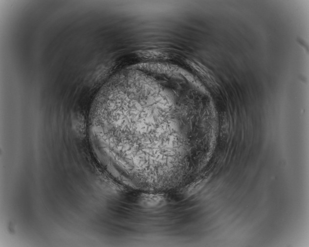 X0000096670469200802191333